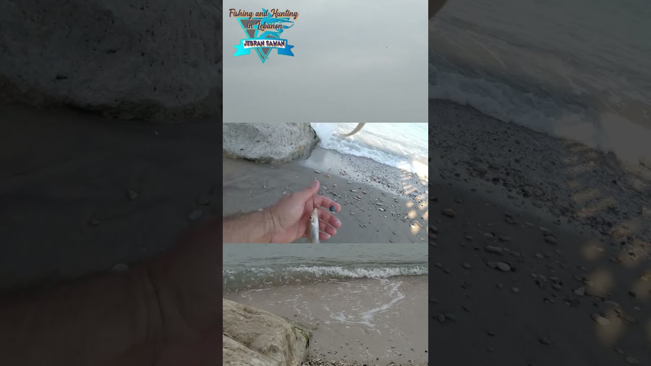 تعلّم فنون الصيد البحري من الشاطئ على الأصول، صيد السمك في لبنان، جبران صوان. Jebran Sawan Fisherman