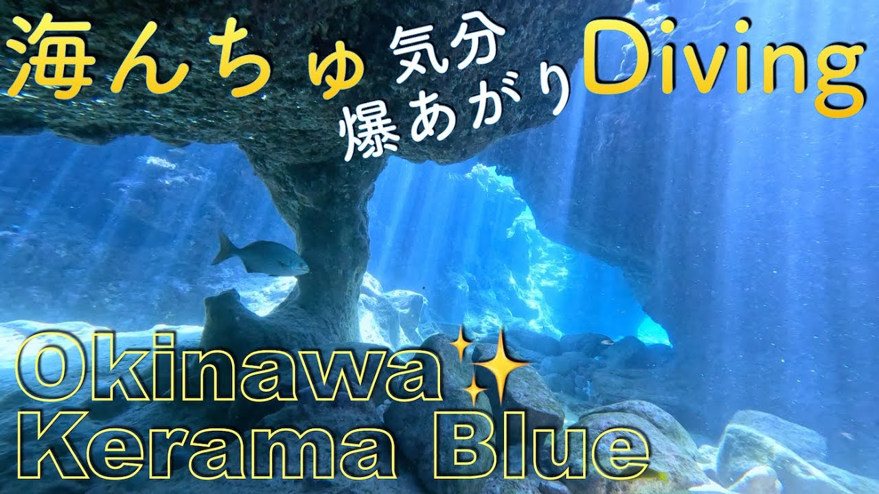 座間味村漁協✨海んちゅが心から感動ダイビング阿嘉島ケラマ