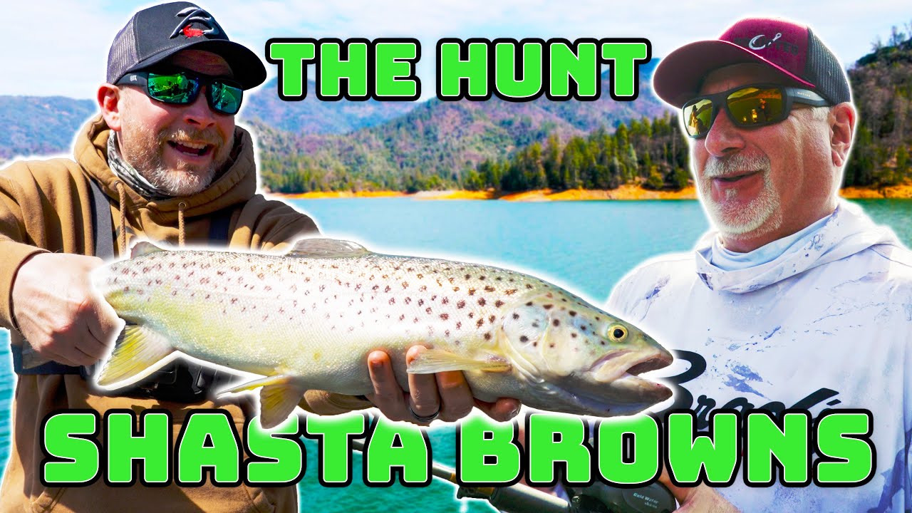 THE HUNT - A Quest For Trophy Brown Trout Fishing - Shasta Lake Edition