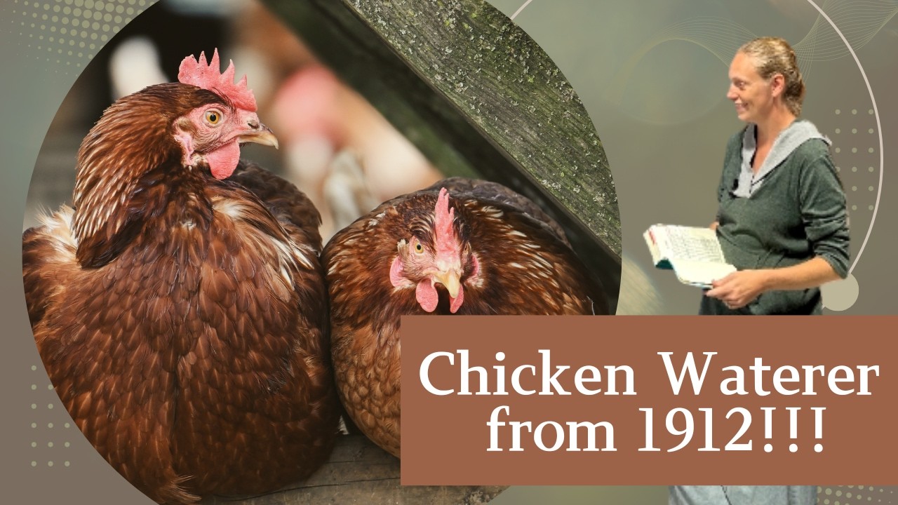 Chicken water ideas from 1912