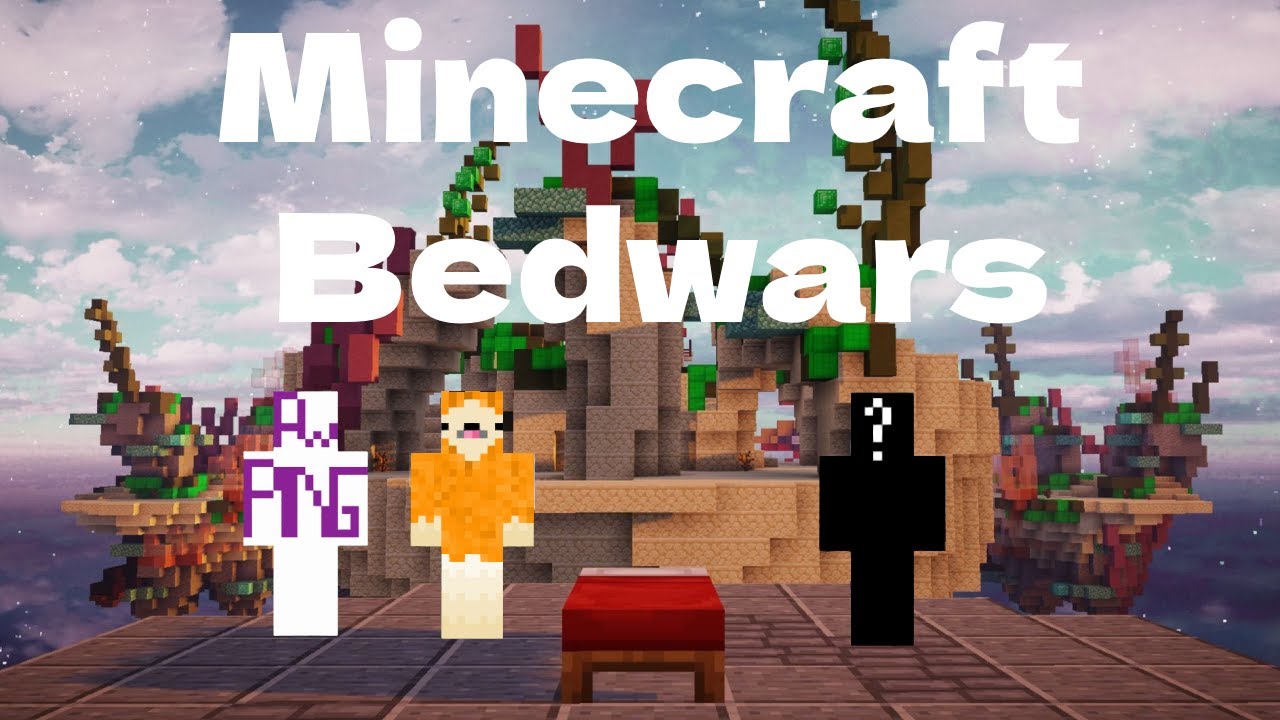 Wir haben Minecraft Bedwars mit einem Profi gespielt oder so