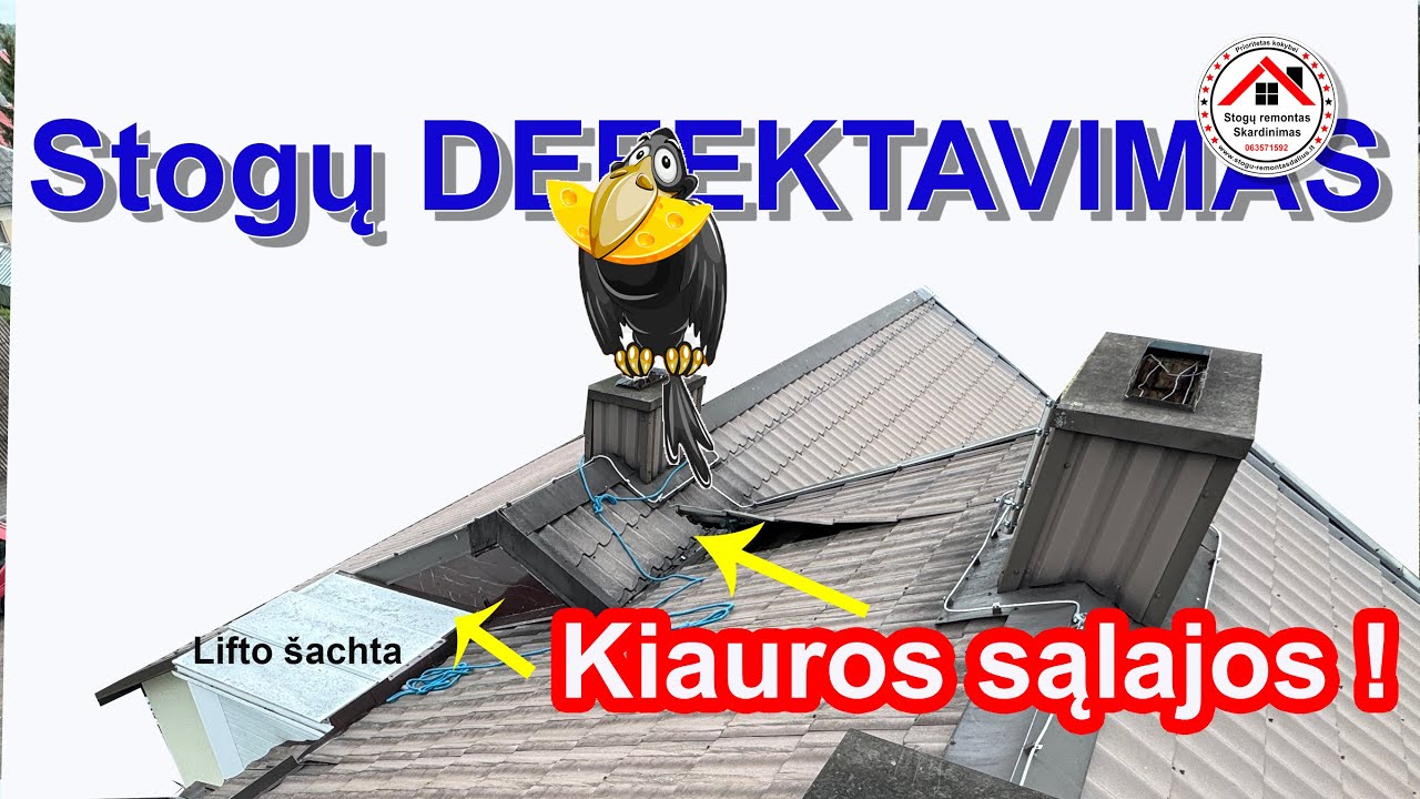Sąlajų Brokas - DEFEKTAVIMAS Stogų