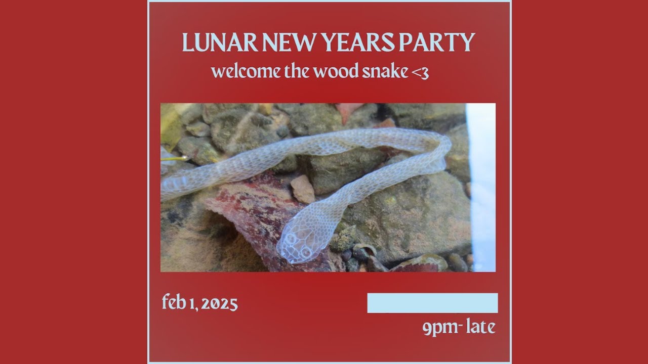 WORLD TOUR RADIO: LNY HOUSE PARTY @ MEGHAN'S