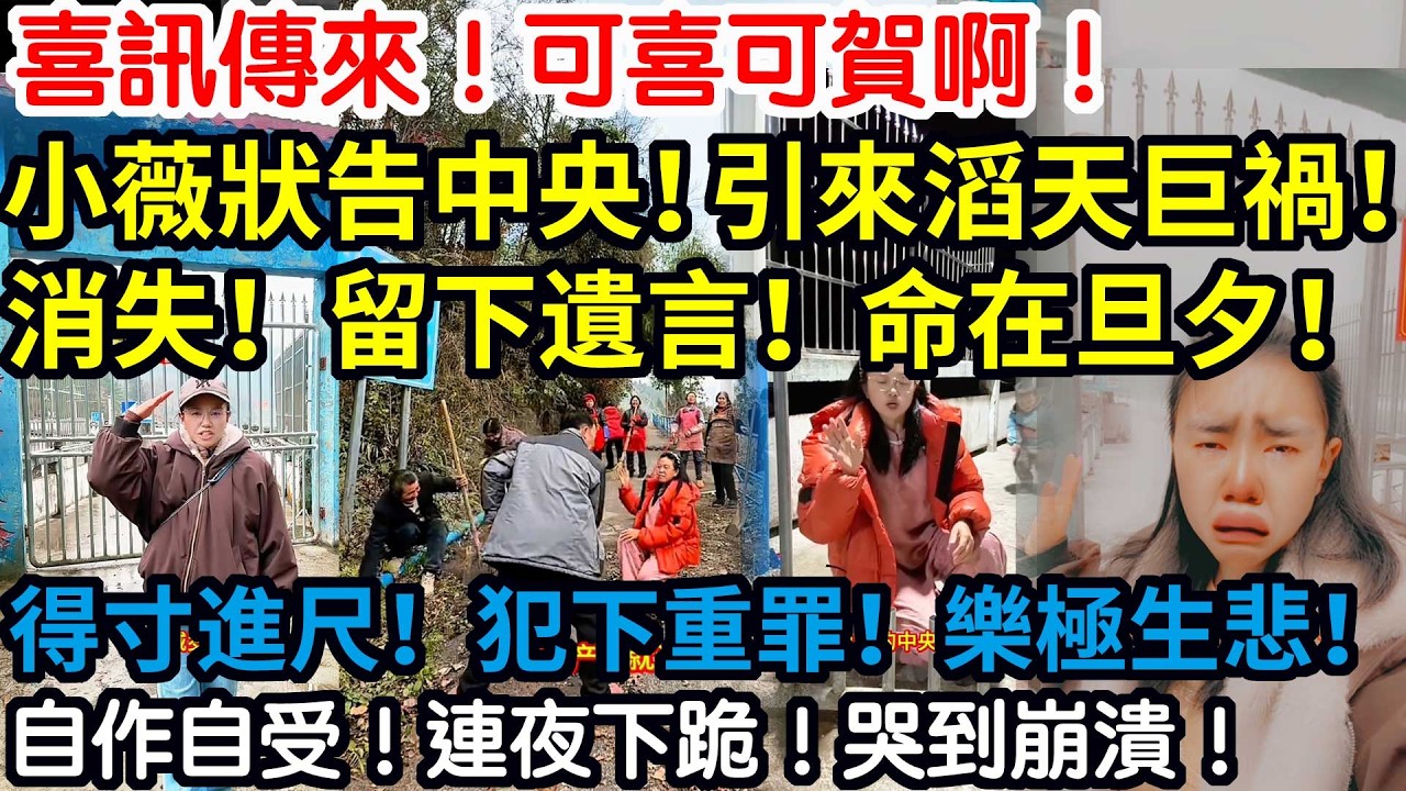 喜訊傳來！可喜可賀啊！小薇狀告中央！引來滔天巨禍！消失！留下遺言！命在旦夕！得寸進尺！犯下重罪！樂極生悲！自作自受！連夜下跪！哭到崩潰！