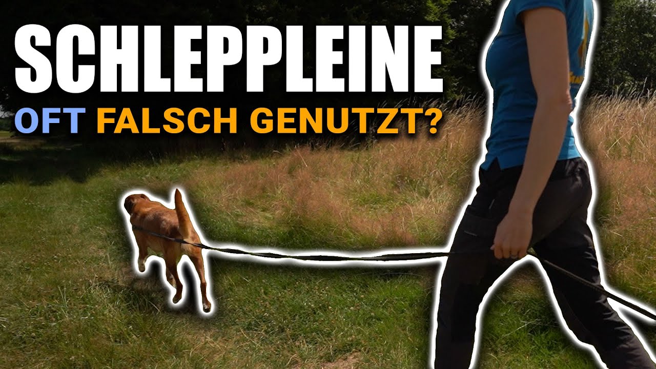 Wie DEINE Einstellung alles verändert! Schleppleine ersetzt keinen Freilauf