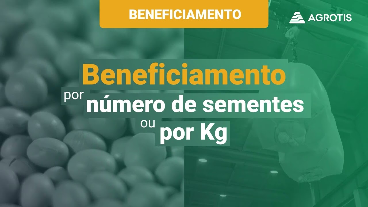 Produção de Sementes Agrotis