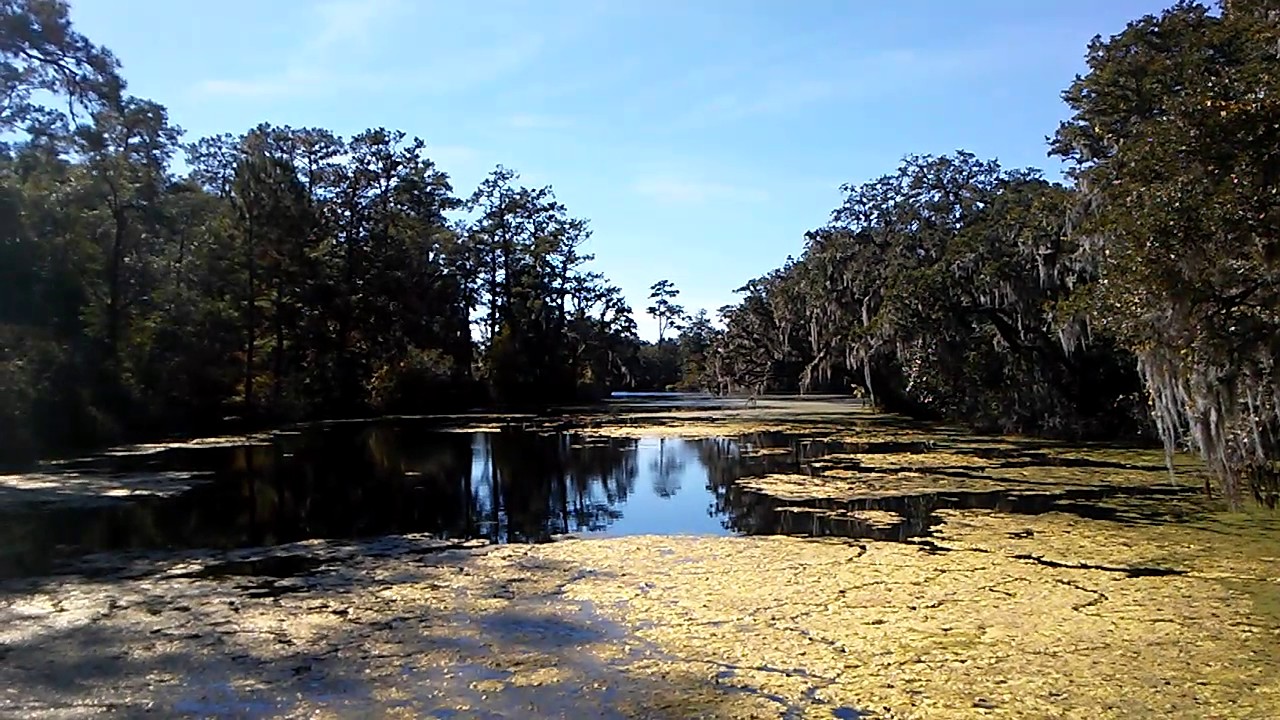 A Large Pond At Airlie Gardens In Wilmington NC