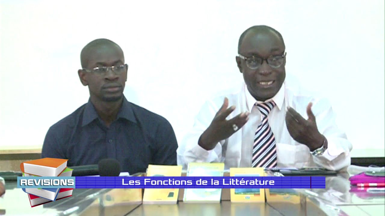 Quelles sont les fonctions de la Littérature ? (Explications faciles à comprendre)