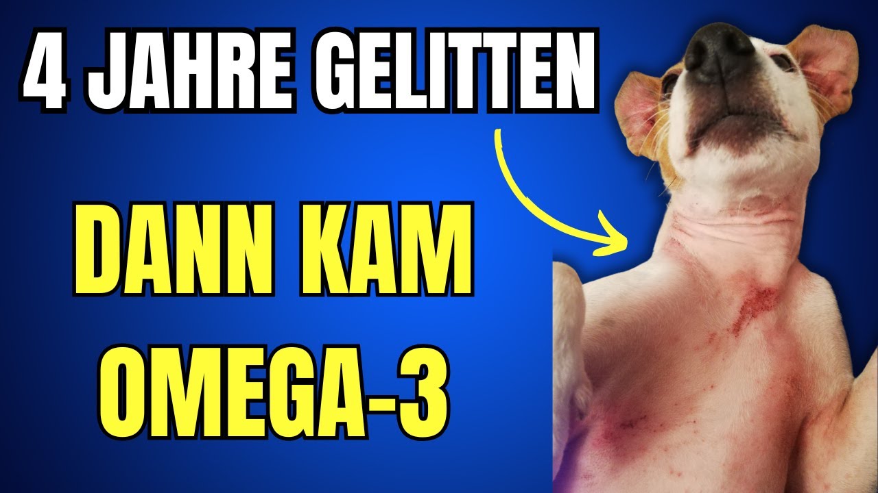 13.000 Euro für nichts - bis Omega-3 alles veränderte, die Auflösung dazu hier in diesem Video