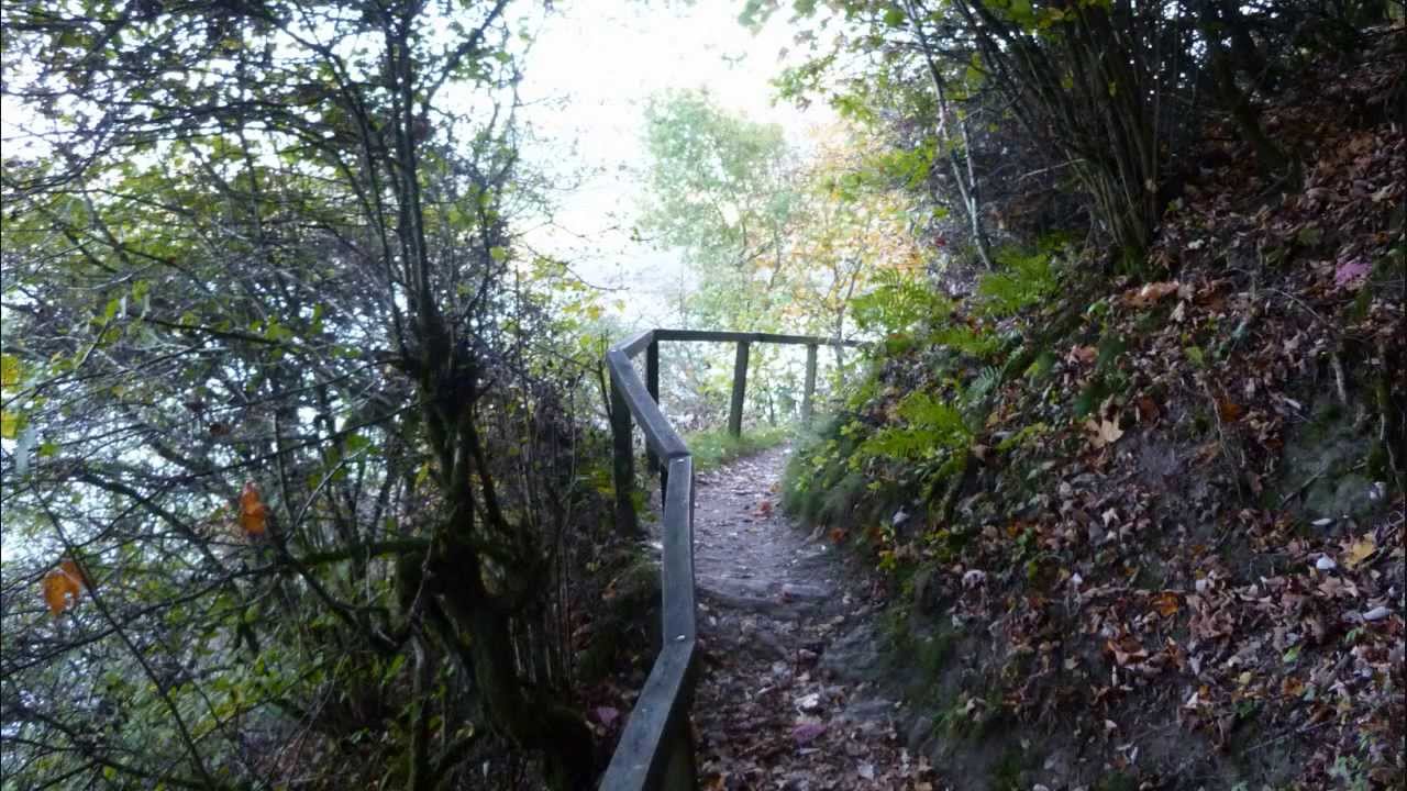 Die Vulkaneifel