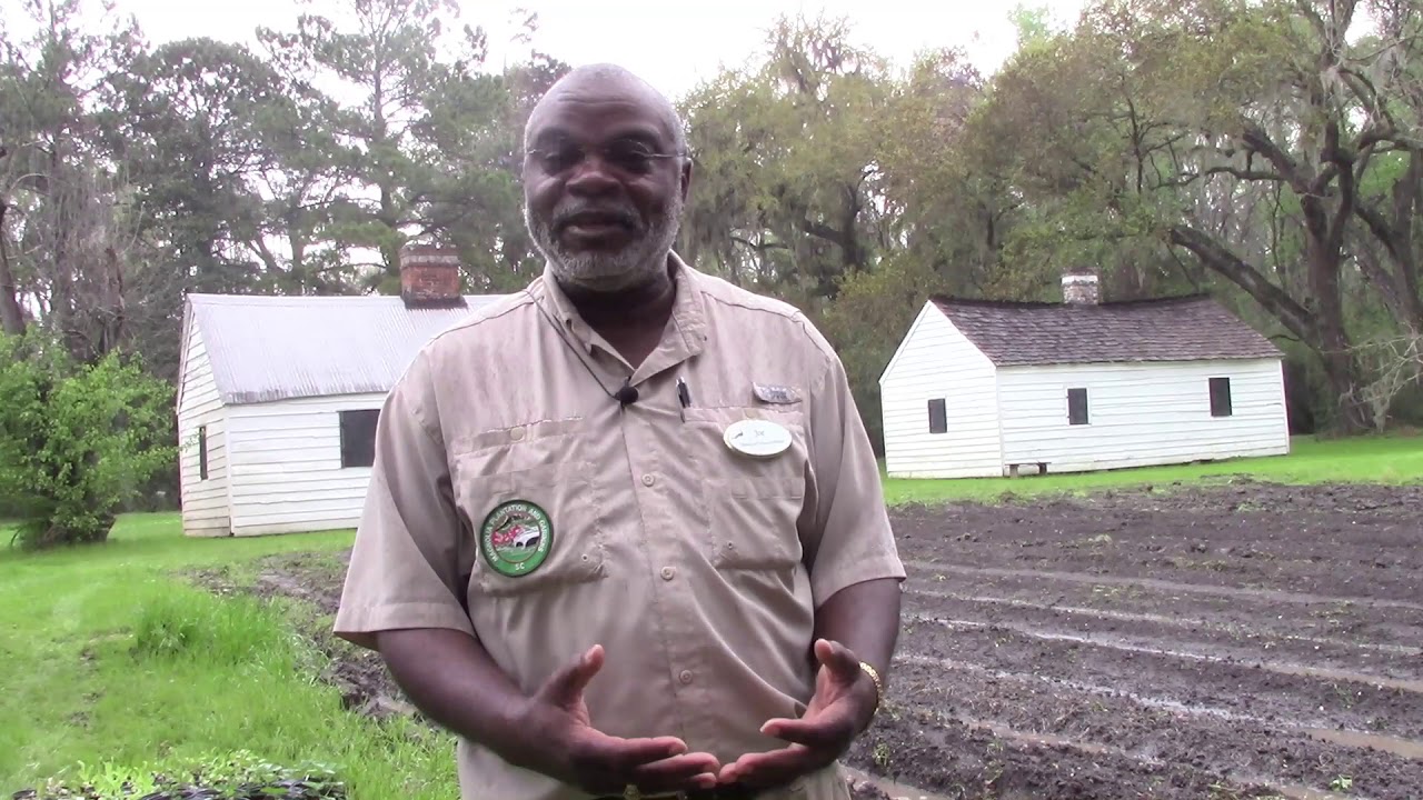 Magnolia Moment - Food Cultivation Behind the Slave Cabins