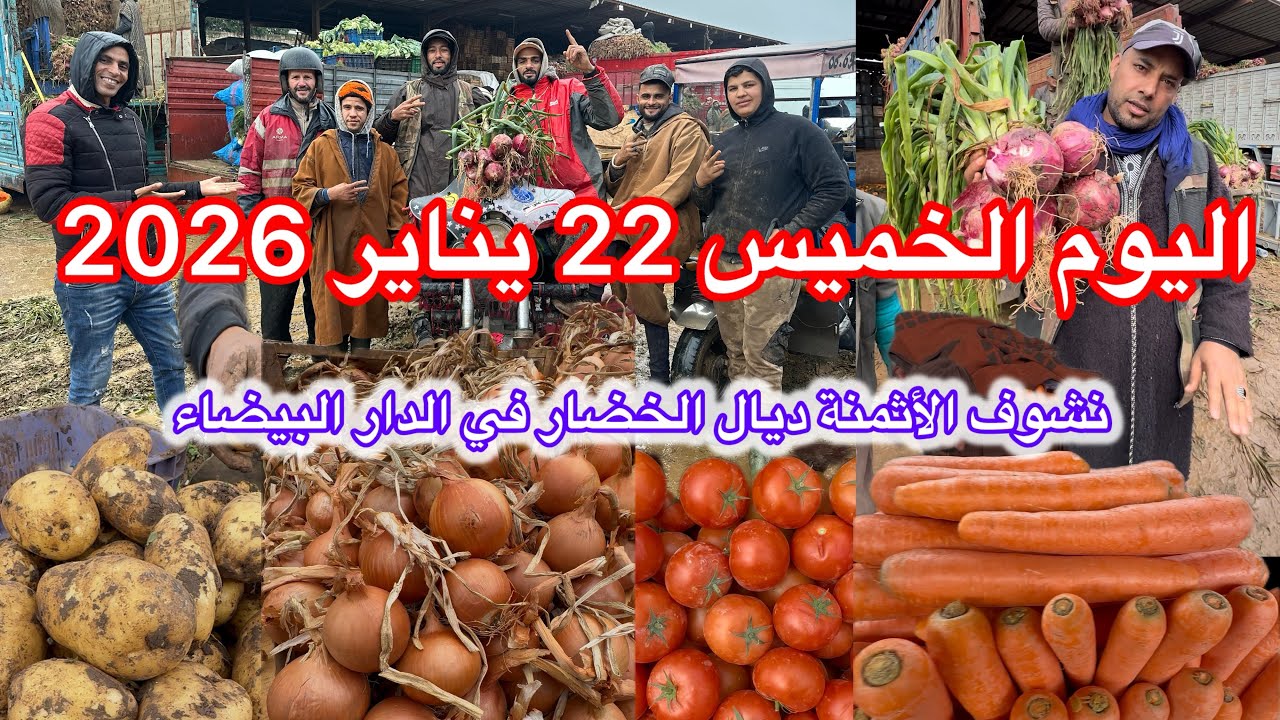 الأثمنة اليوم ‏ ‏الخميس22 يناير 2026 من سوق الجملة للخضر والفواكه في الدار البيضاء🍓🫑🌶️🥭🧅🍋🍏🥕🍅