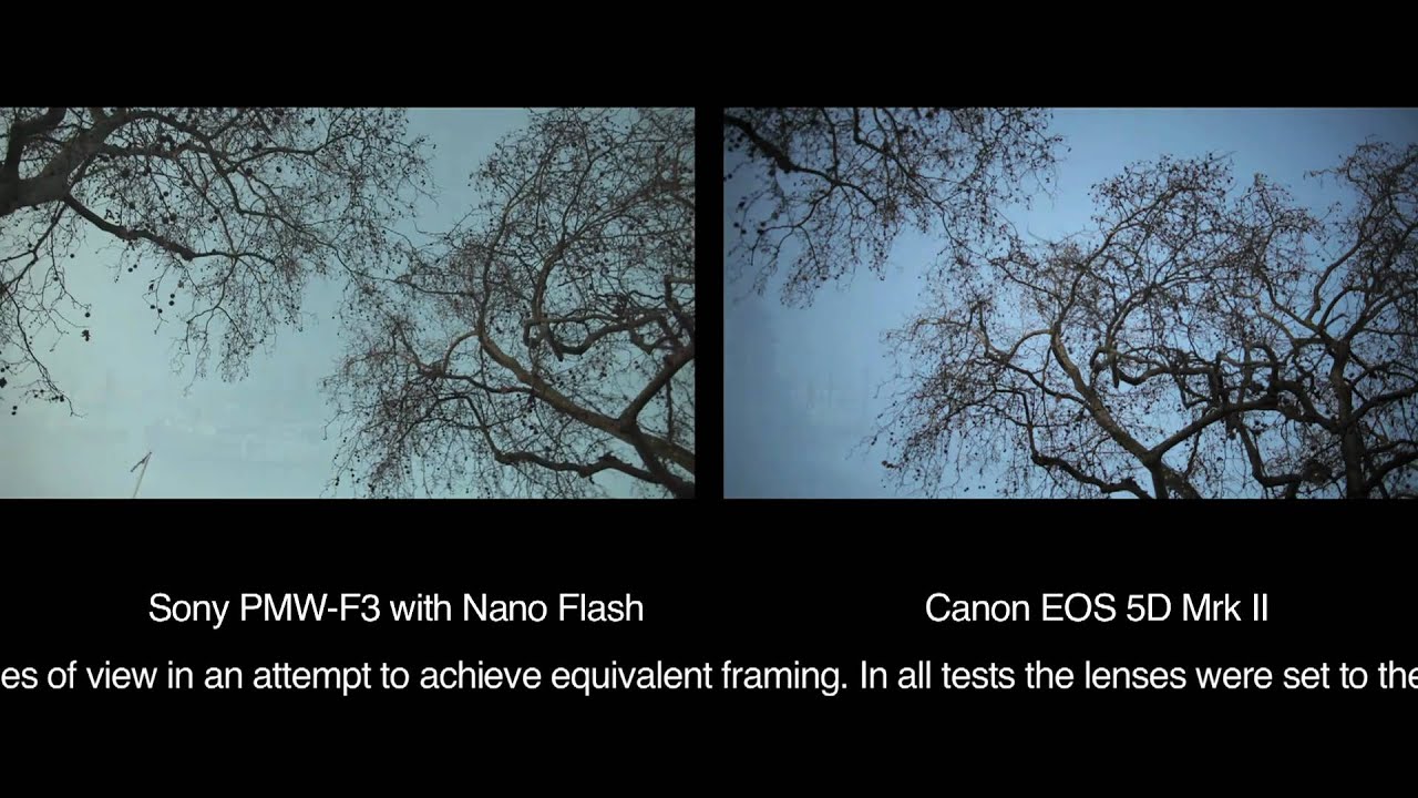Sony PMW F3 Review