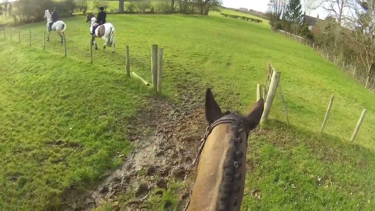 Meynell & South Staffordshire Ladies Day Hunt Meet (Cambox V4 Pro Headcam)