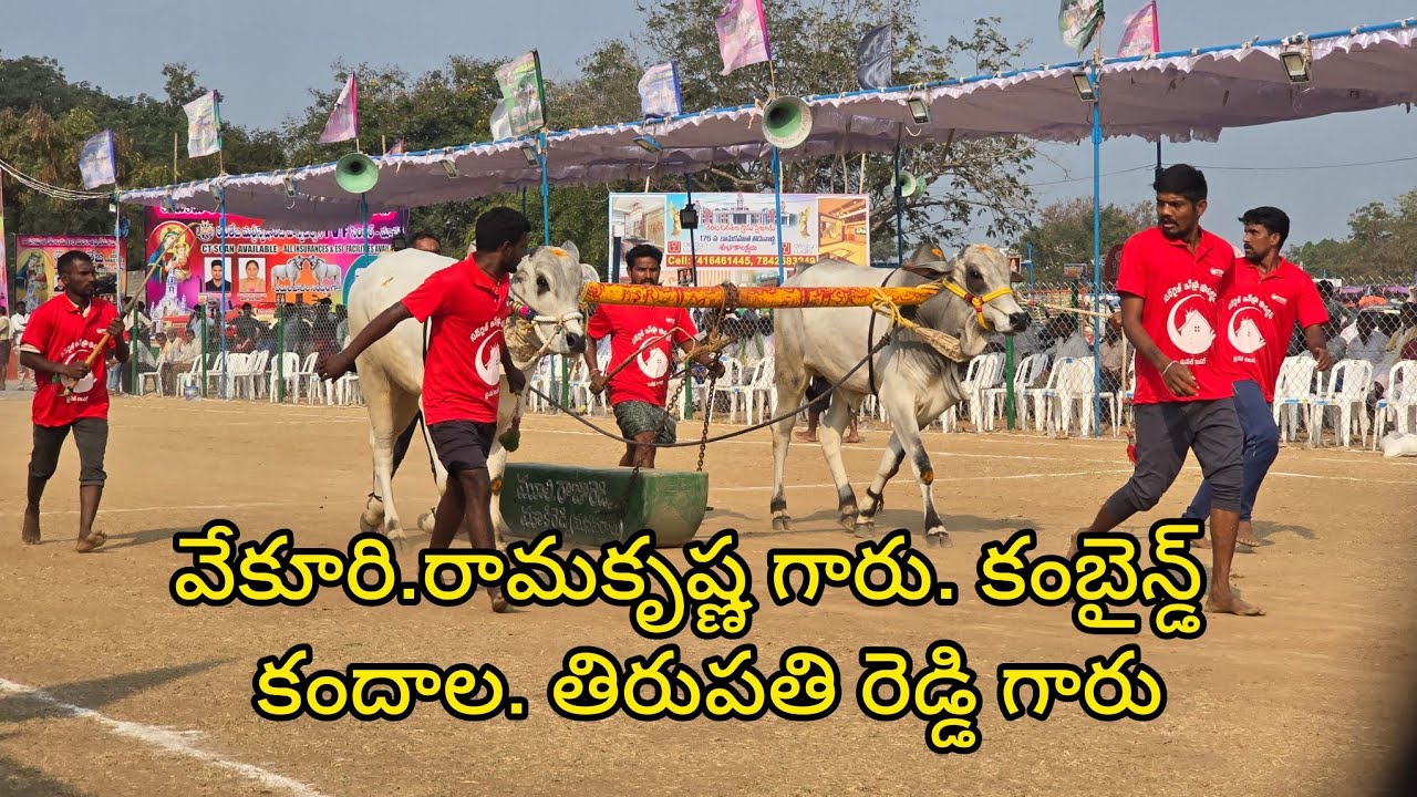 రెంటచింతల పాల పళ్ళ.12.జత.