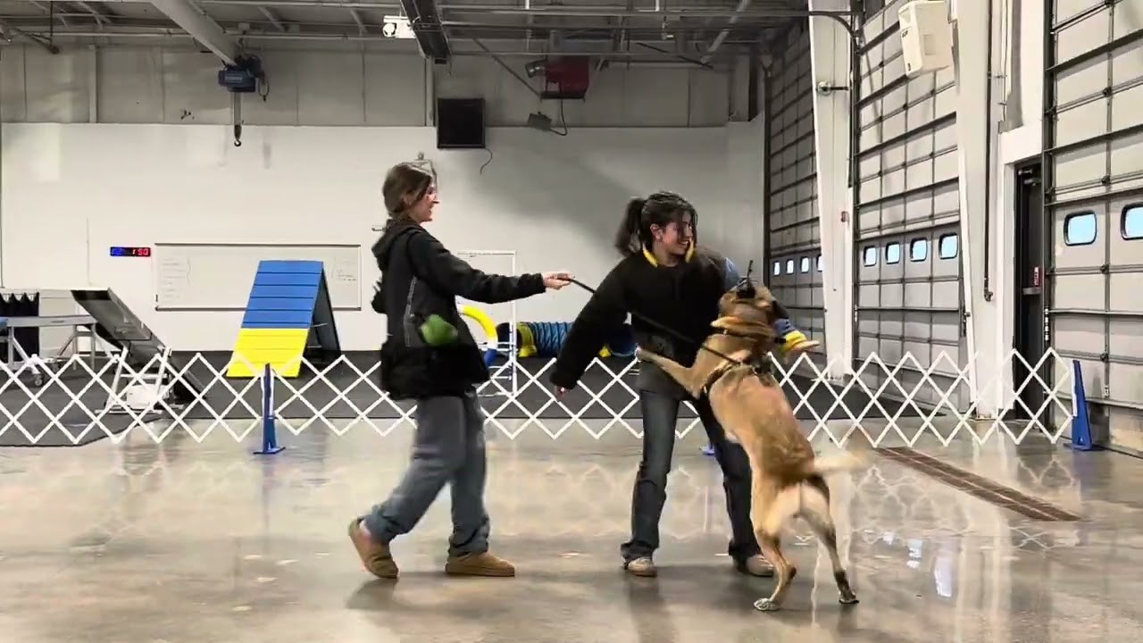 (1/6/26) BITE WORK