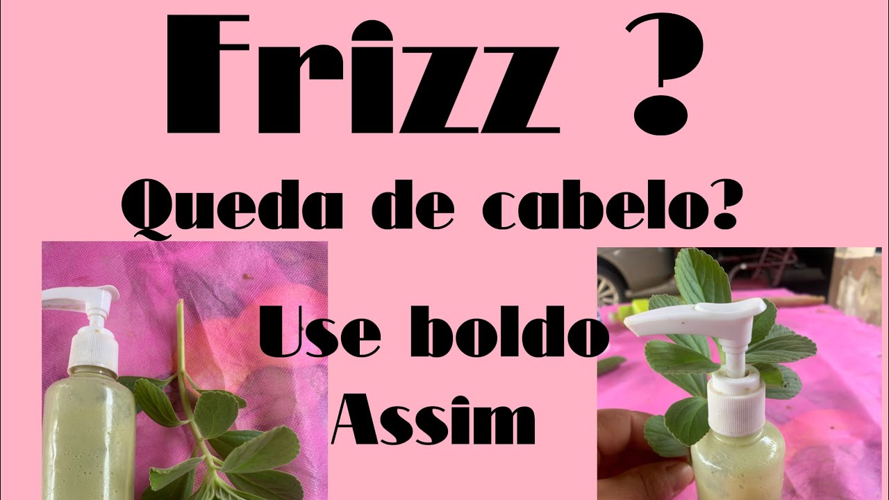 Boldo combate queda de cabelo e frizz
