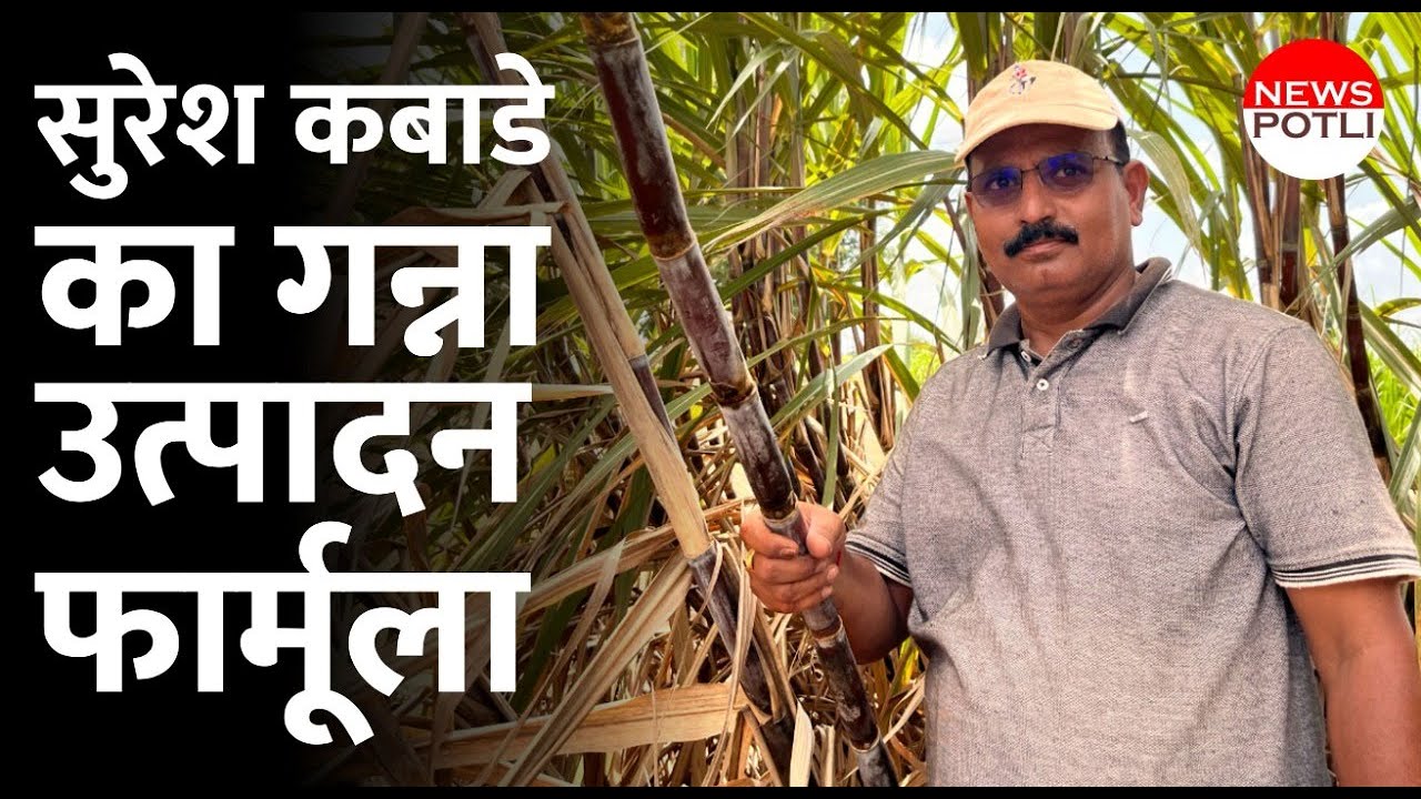How to get 100 tones Sugarcane/Acre || गन्ना की खेती || Suresh Kabade || Sugarcane Cultivation