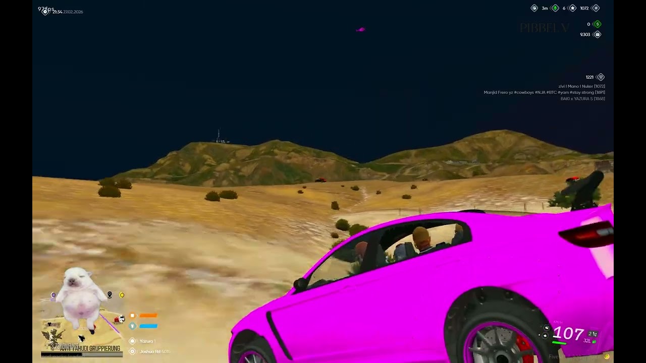 FIVEM PIBBEL V