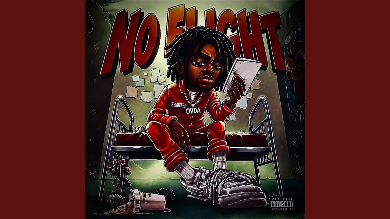 No flight