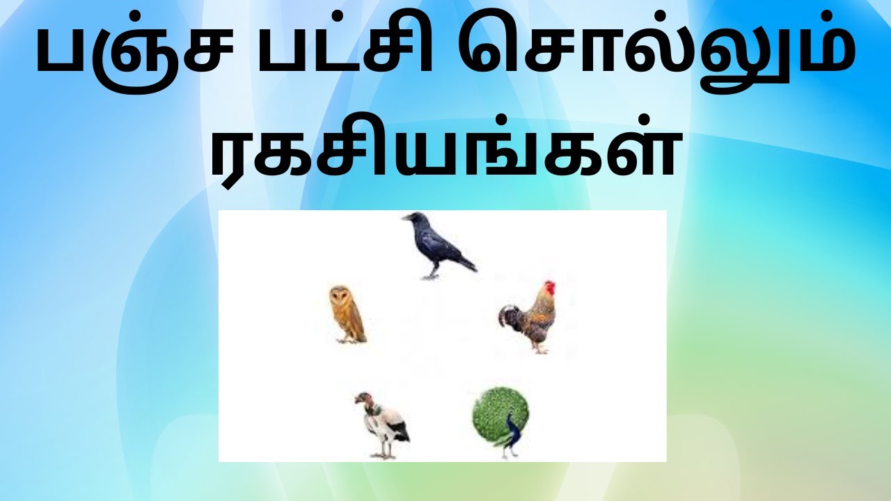 பஞ்ச பட்சி சொல்லும் ரகசியங்கள்