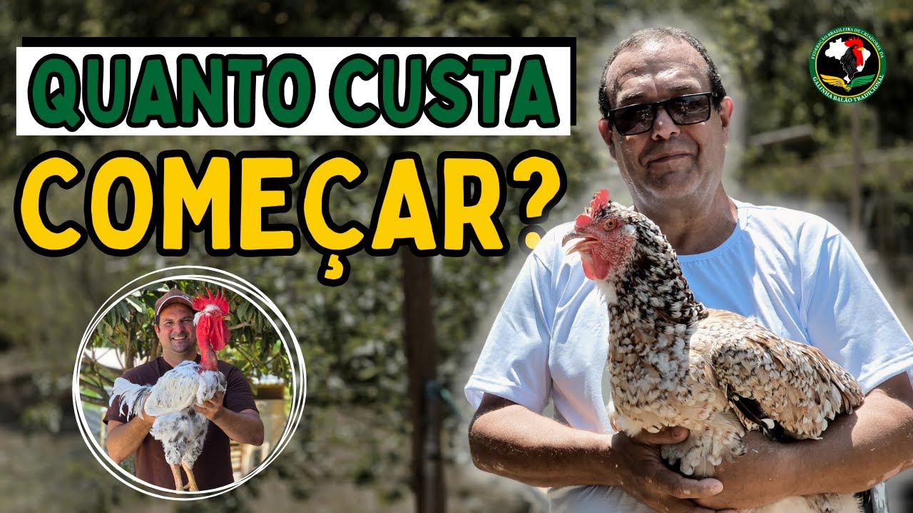 Quanto custa começar uma criação de Galinha Balão? Descubra o Investimento!