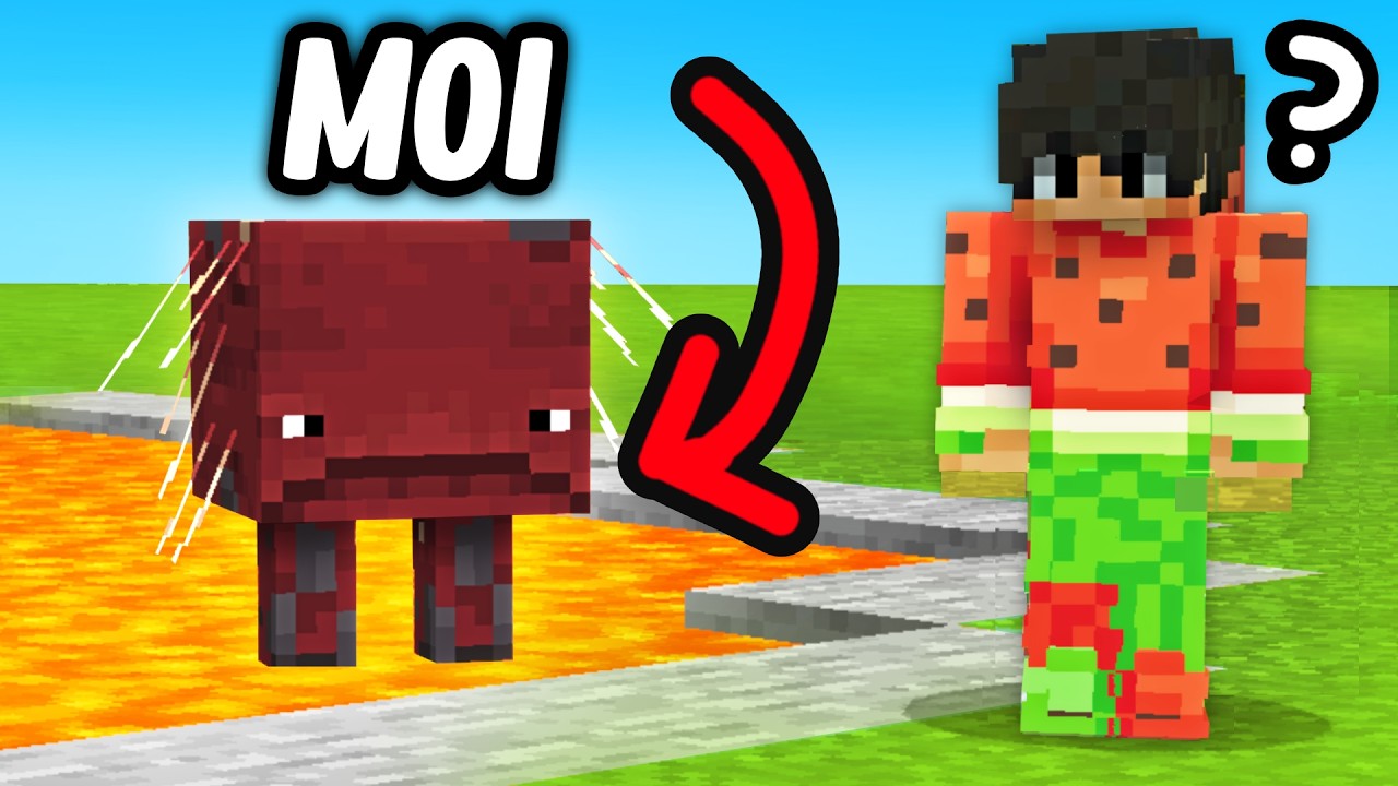 J'ai suivi SECRÈTEMENT ce Youtubeur en me transformant en mob