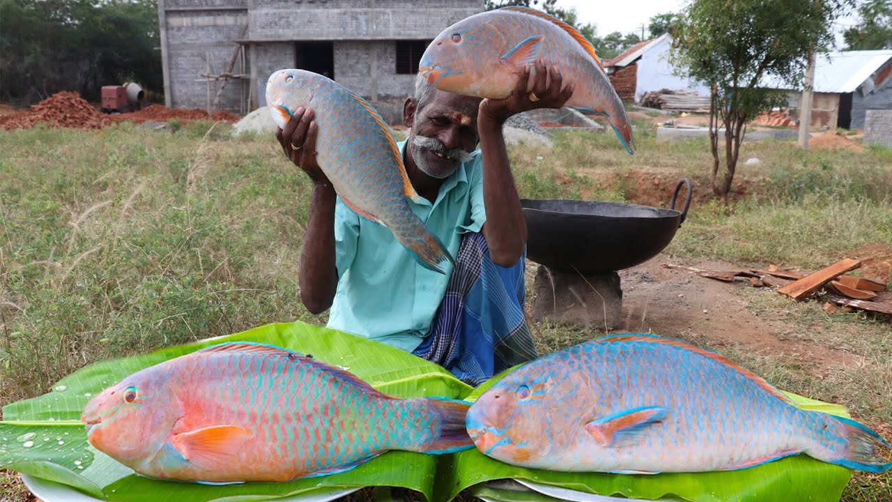 LARGE !!! Big Size PARROT FISH Finger Prepared by My Daddy ARUMUGAM / Village food factory