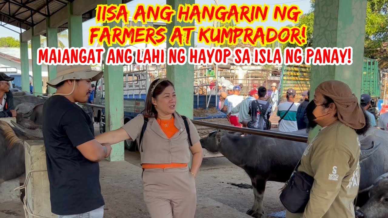 IISA ANG HANGARIN NG FARMERS AT KUMPRADOR | MAIANGAT ANG LAHI NG HAYOP SA ISLA NG PANAY | SOLLE'S G.