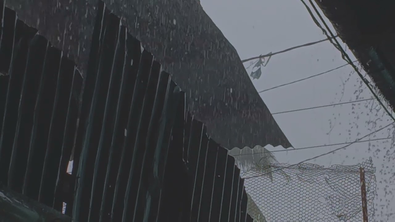 Rain Sounds and Thunderstorms: A Rain on Tin Roof Symphony of Nature’s Power and Serenity