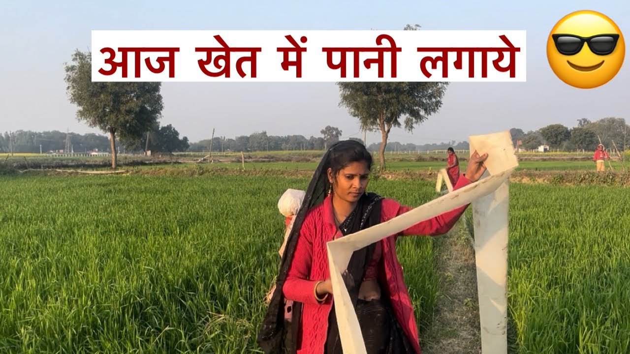 गेहूँ के खेत में पानी लागाई🥱🥱