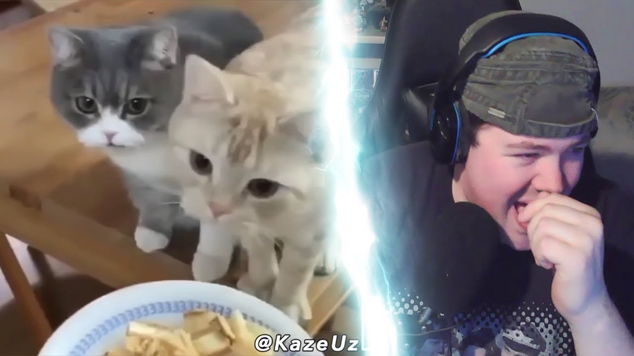 REAKTION auf Was Tiere So Denken MEGA 1