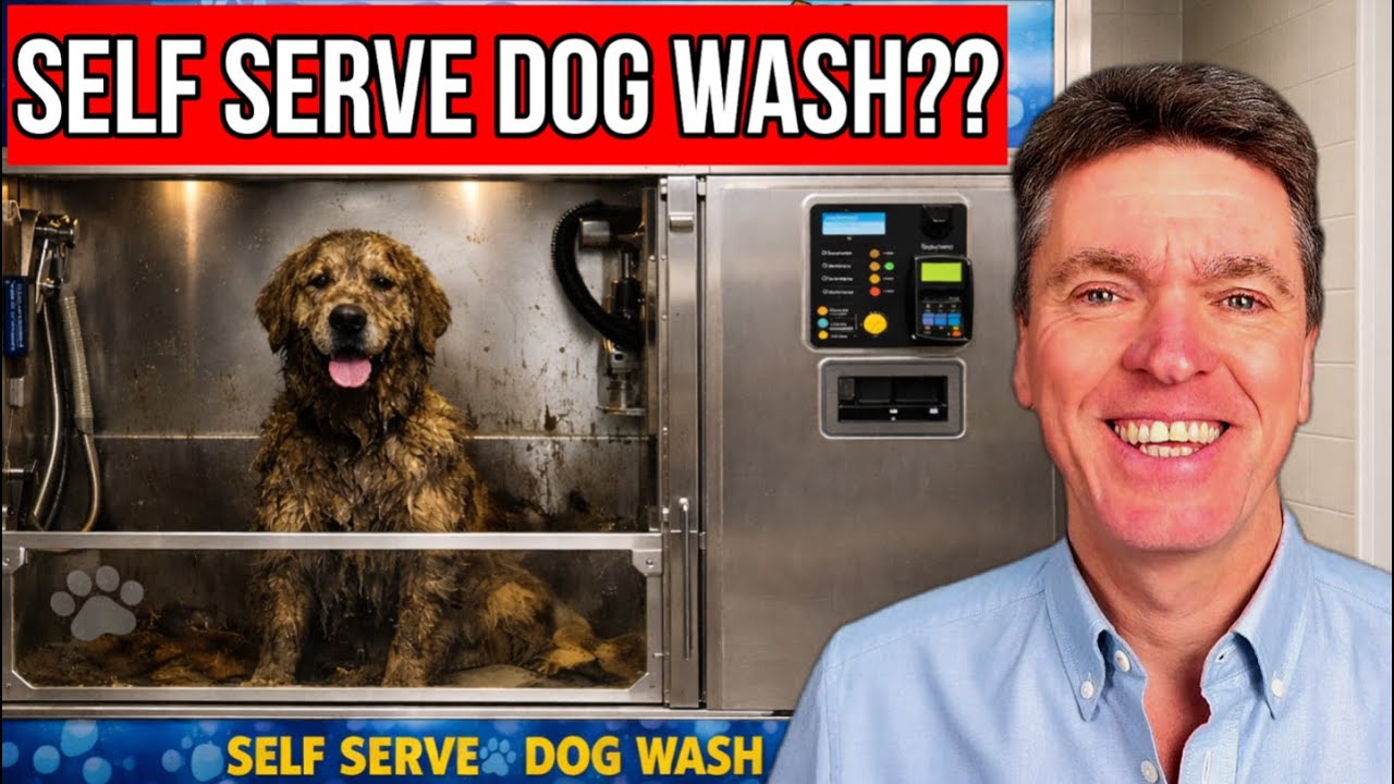 Self Service Dog Wash in Westward Ho? WIN My Beach House or £250K in Cash!!
