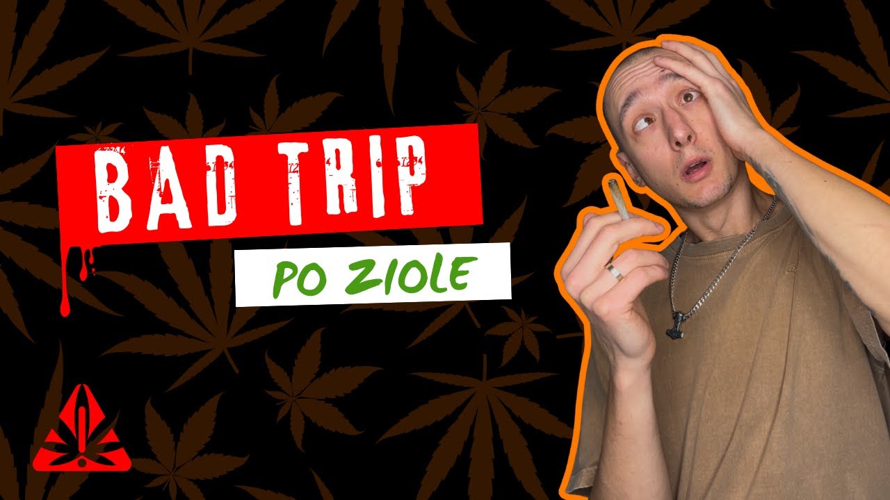 Bad Trip po ziole 😱 Jak go uniknąć i co zrobić jak się już wydarzy? 🌿