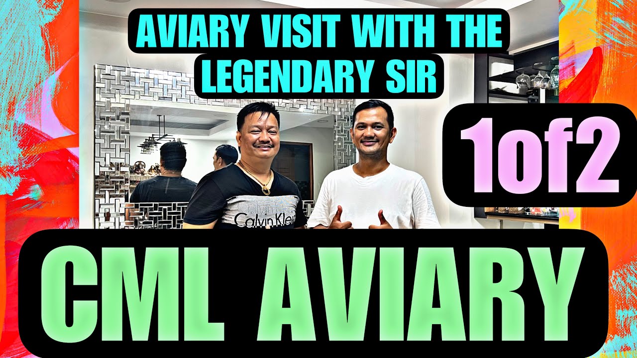 Part1. Aviary visit with CML Aviary #aviary #birds #trendingvideo #viralvideo #animals #tips #albs2