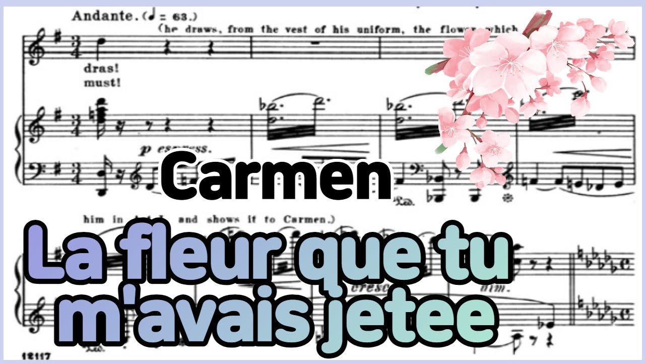 La fleur que tu m'avais jetee - [Carman] 'Bizet' Accompaniment 카르멘 꽃노래 반주
