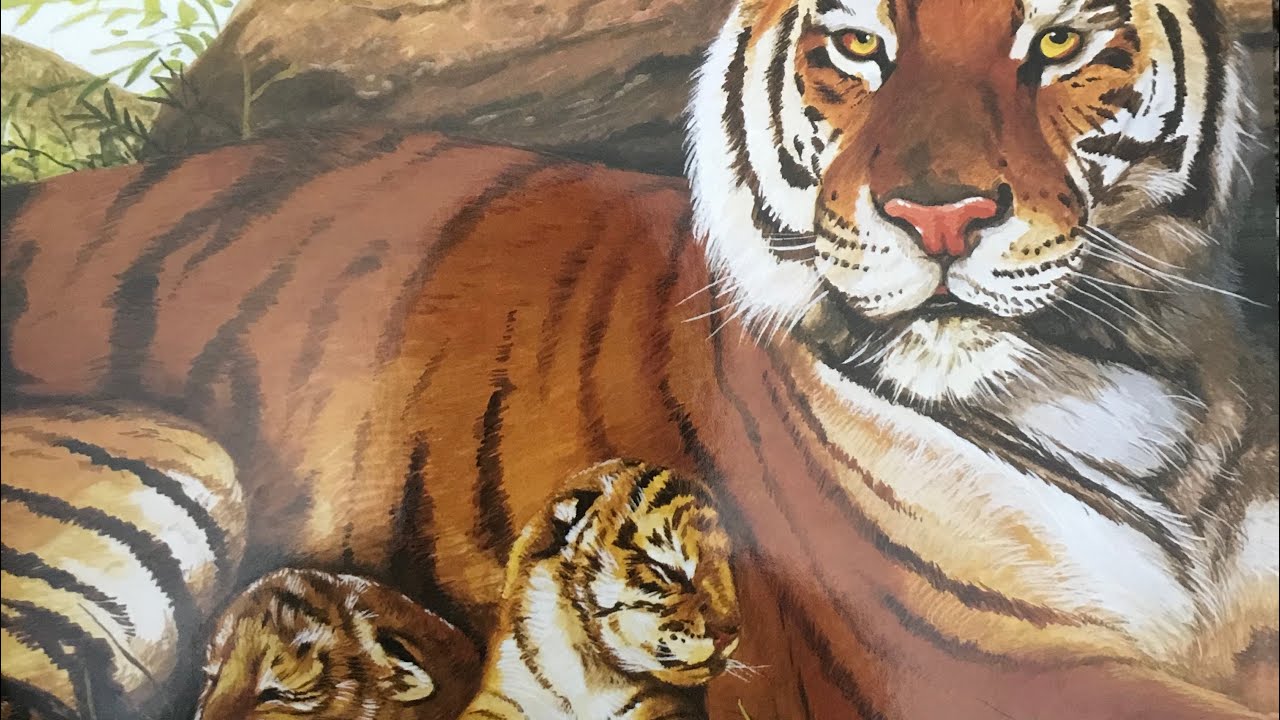 Storytime: A Tiger Grows Up