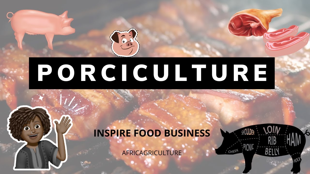 Devenir Millionnaire gr&acirc;ce &agrave; l'&Eacute;levage de Porc 🐖💸|Comment &eacute;lever des porcs de A &agrave; Z|&Eacute;levage Rentable