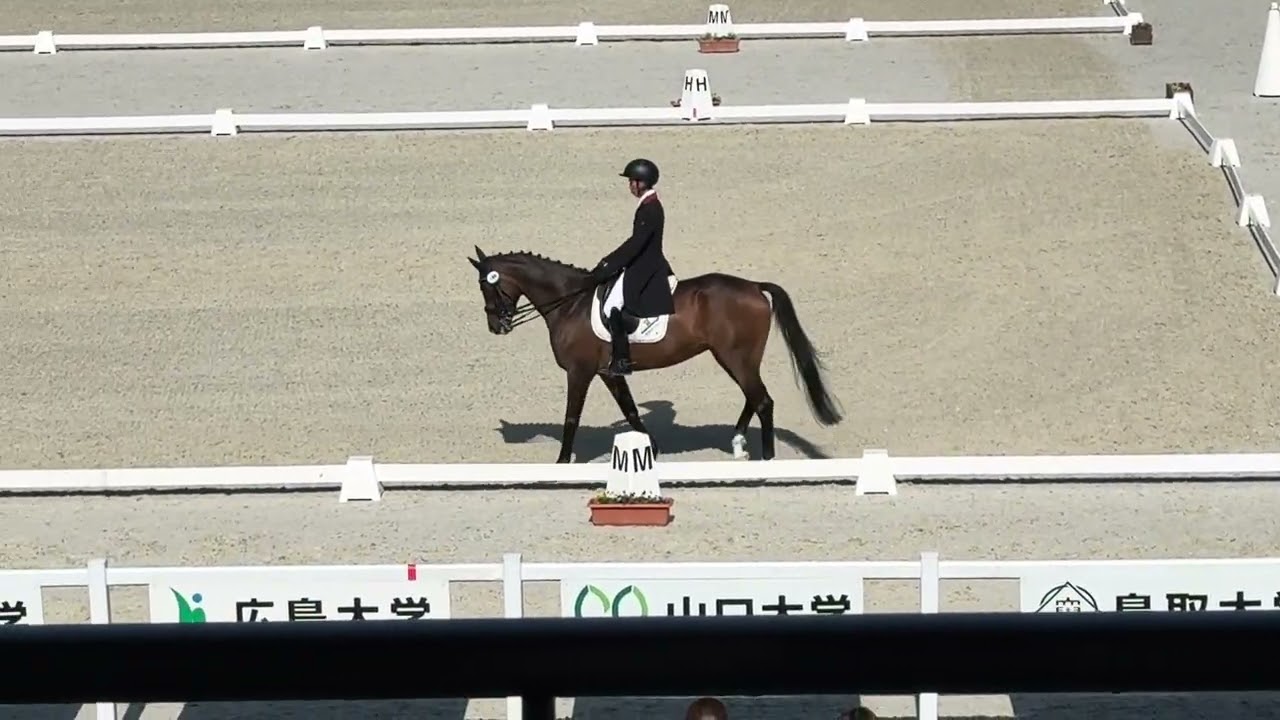 全日本学生馬術大会2025　第68回全日本学生賞典馬場馬術競技大会　予選　3年　砂川成弘　桜龍