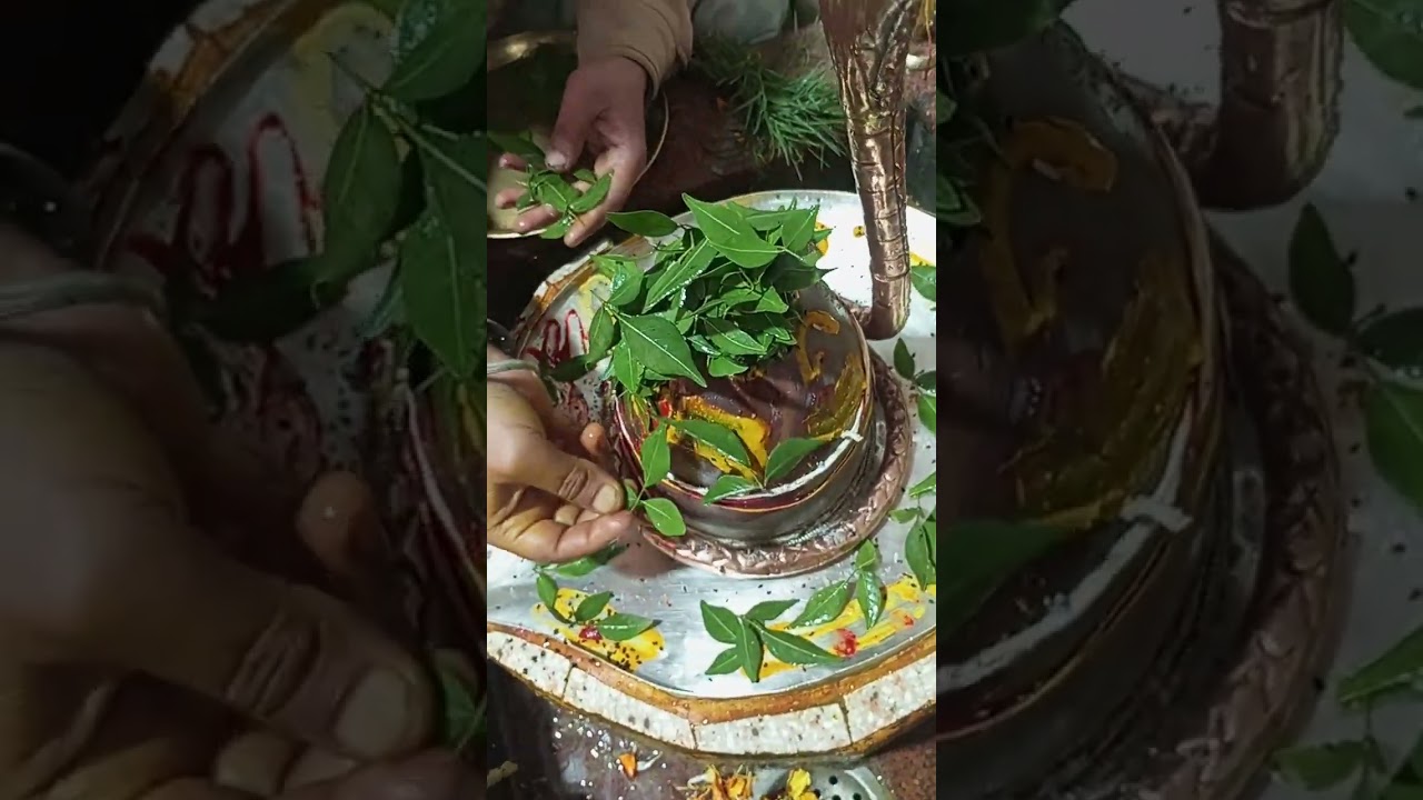 108 Belpatra Remedy | शिवलिंग पर 108 बेलपत्र चढ़ाओ, धनलक्ष्मी व रुका धन प्राप्त | Mahadev 🔱💰 