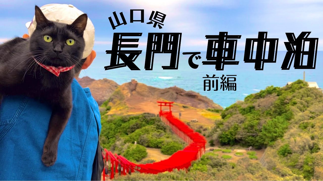 【山口・長門】絶景神社と温泉街とローカルフードを楽しむ車中泊旅