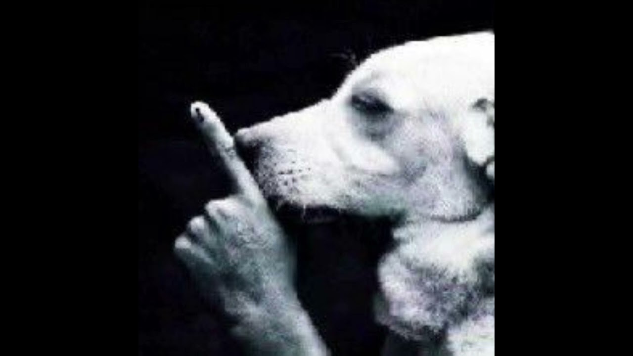 PONTINHO PSICOD&Eacute;LICO 2 - MC GUTO VGS (DJ PATRICK R E DJ KLEY) - (SLOWED)