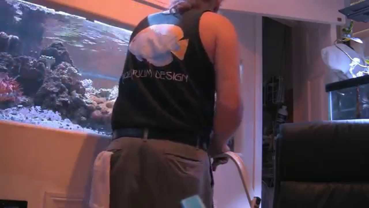 Scraping Coraline Algae, LA Fishguys Episode 146, part 1