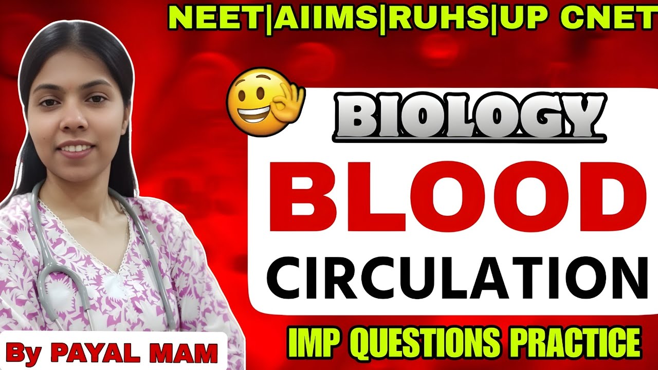  Class 11Blood Circulation | Biology Important Questions | NEET AIIMS RUHS UP CNET | By Payal Mam