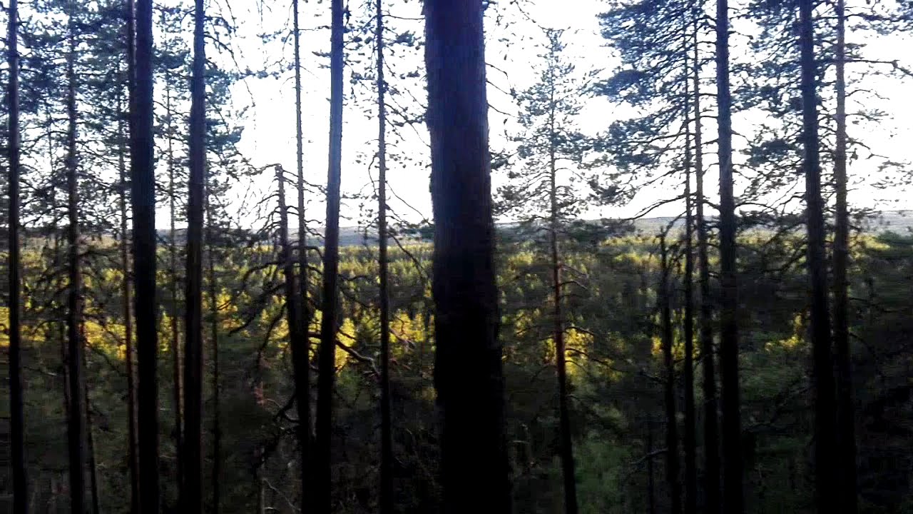 Kuopio - Petonen Vuorilampi Hike