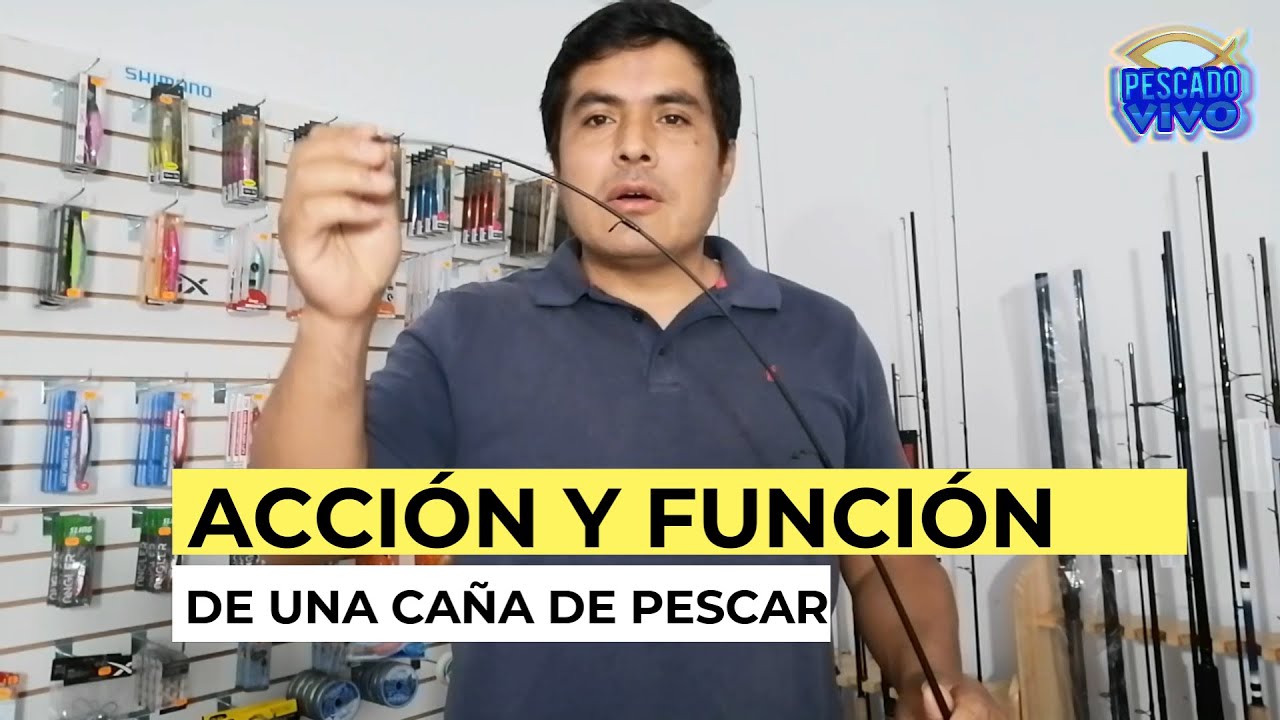 ACCIÓN Y FUNCIÓN DE UNA CAÑA DE PESCAR