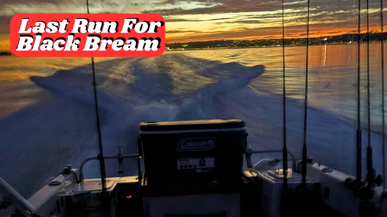 A perfect day on the water-Last of the summer bream!