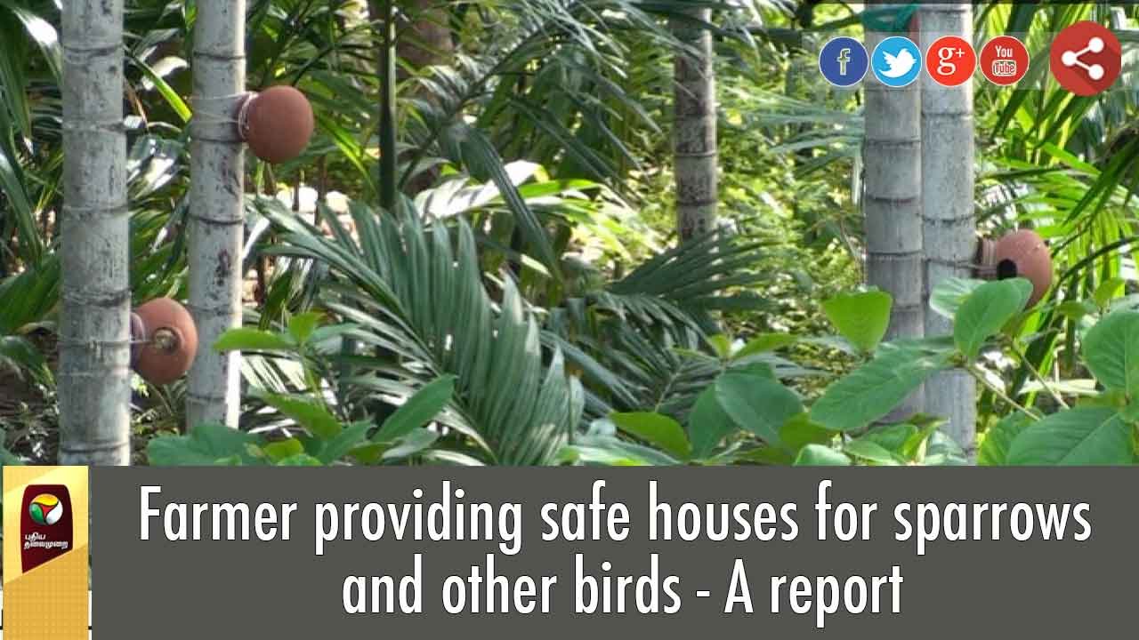 Farmer providing safe houses for sparrows and other birds - A report