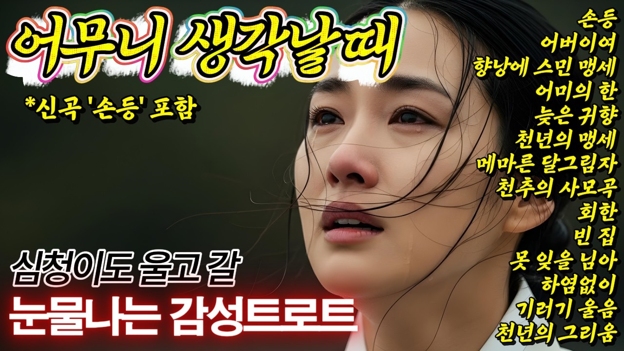 🎧손등 신곡포함🌾처음 듣는데 눈물이 주르륵🍂감성트로트 1시간 14곡
