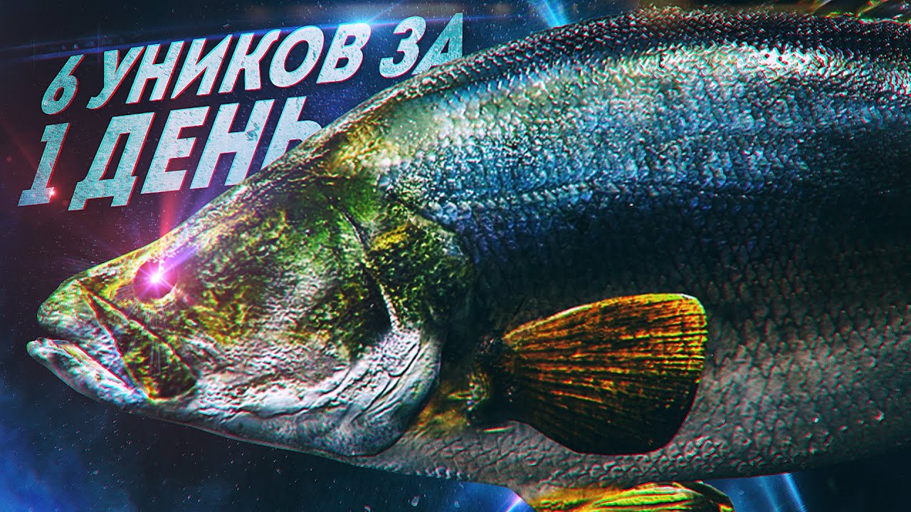 ВЫПОЛНЯЮ ЧЕЛЛЕНДЖ И ПОДНИМАЮ РАНГИ